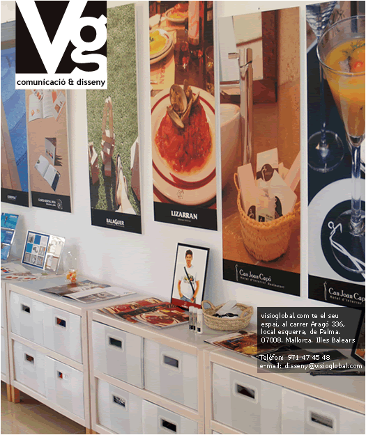 dades contacte visioglobal